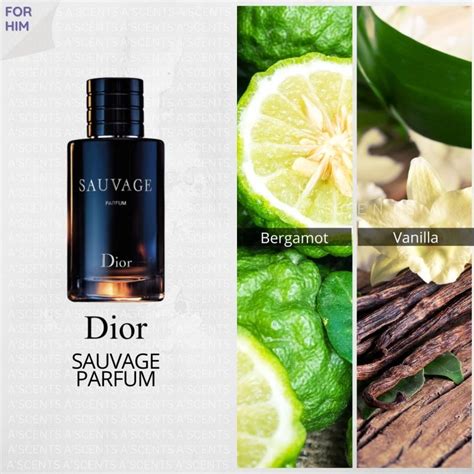 dior sauvage alscent|where to buy sauvage dior.